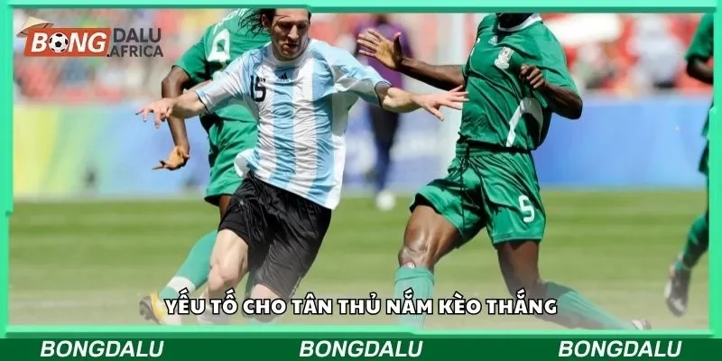 Yếu tố cho tân thủ nắm kèo thắng