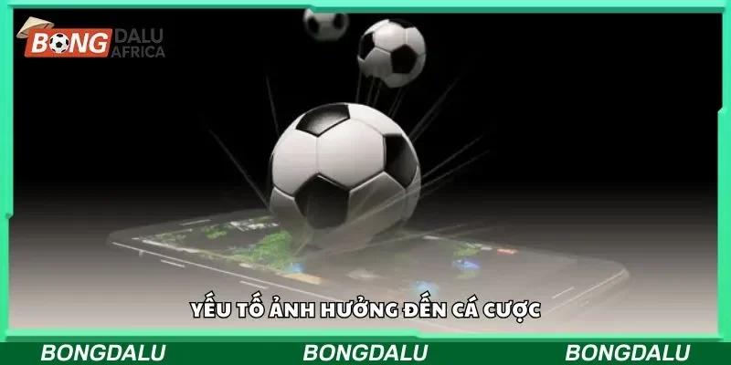 Yếu tố ảnh hưởng đến cá cược