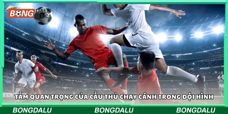 Tầm quan trọng của người chạy cánh trong đội hình