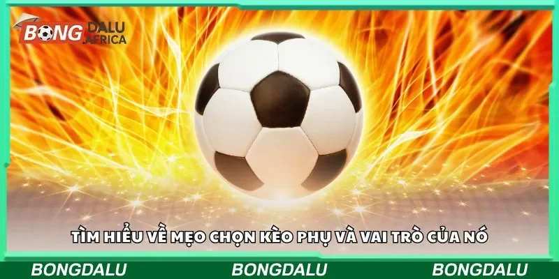 tỷ lệ kèo tỷ lệ kèo nhà cái soi kèo tỷ lệ bóng đá keonhacai tỷ lệ bongdalu tip kèo