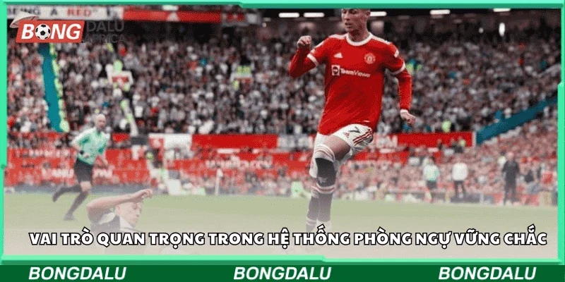 Vai trò quan trọng trong hệ thống phòng ngự vững chắc