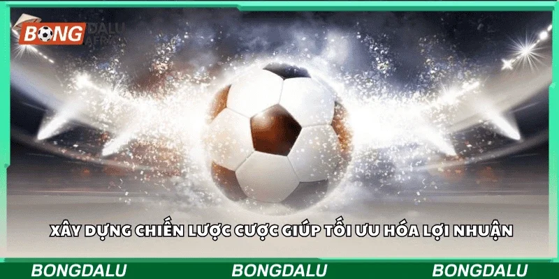 Xây dựng chiến lược cược giúp tối ưu hóa lợi nhuận