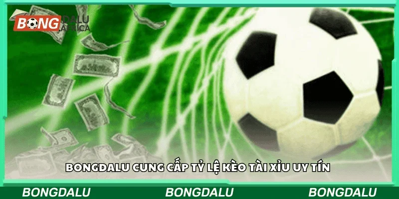 Bongdalu cung cấp tỷ lệ kèo tài xỉu uy tín