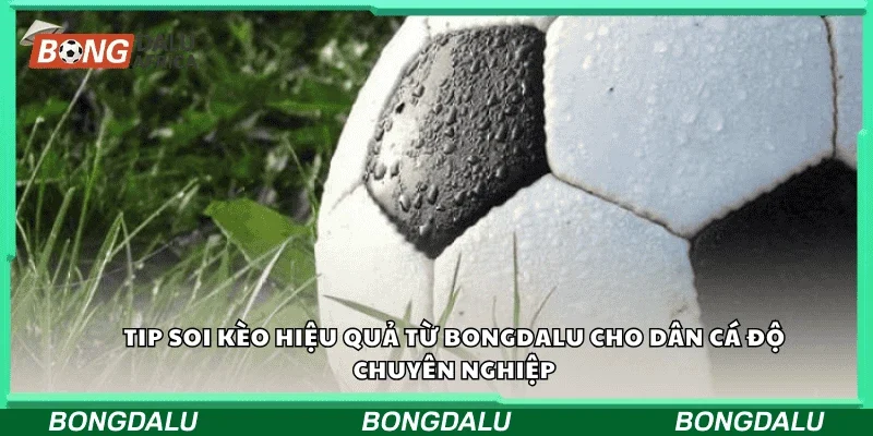 Tip soi kèo hiệu quả từ Bongdalu cho dân cá độ chuyên nghiệp