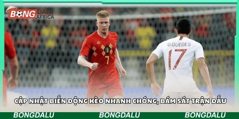 Cập nhật biến động kèo nhanh chóng, bám sát trận đấu