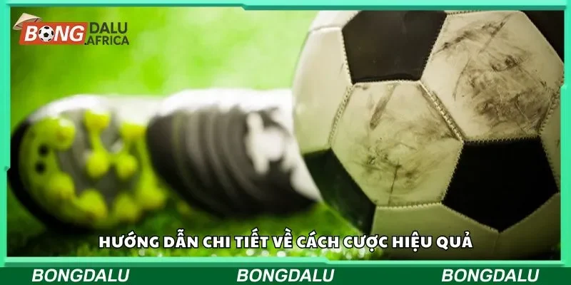 Hướng dẫn chi tiết về cách cược hiệu quả
