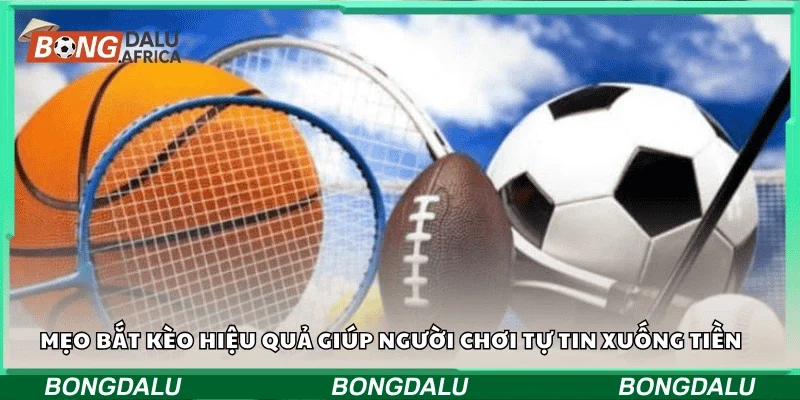 Mẹo bắt kèo hiệu quả giúp người chơi tự tin xuống tiền