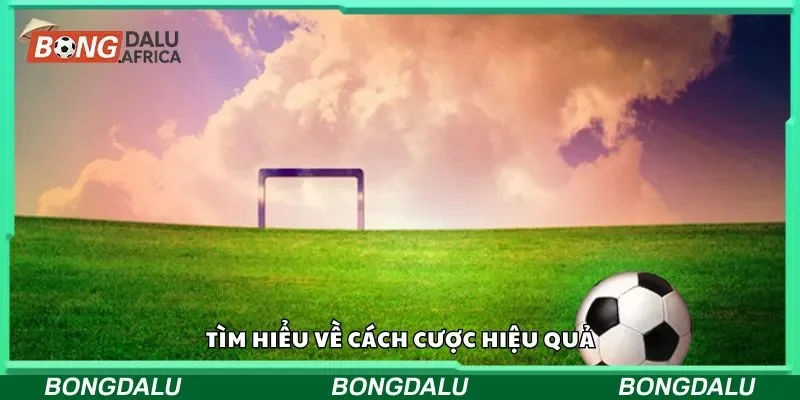 Tìm hiểu về cách cược hiệu quả