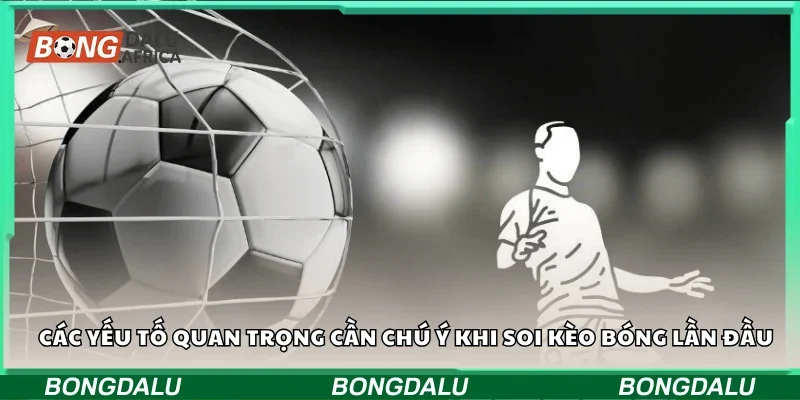 Các yếu tố quan trọng cần chú ý khi soi kèo bóng lần đầu