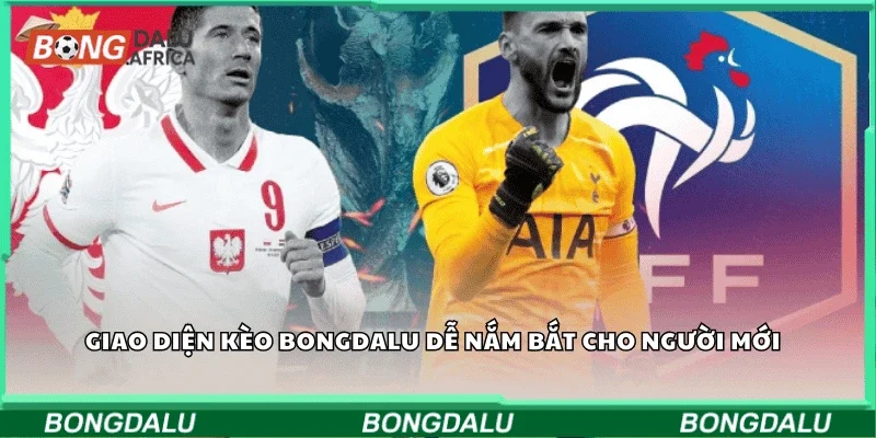 Giao diện kèo Bongdalu dễ nắm bắt cho người mới