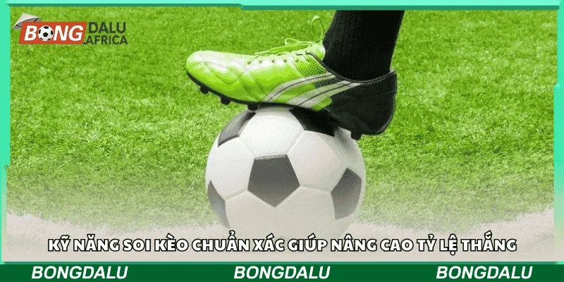 Kỹ năng soi kèo chuẩn xác giúp nâng cao tỷ lệ thắng 