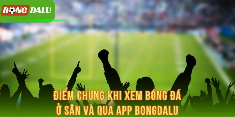 Điểm chung khi xem bóng đá ở sân và qua app Bongdalu