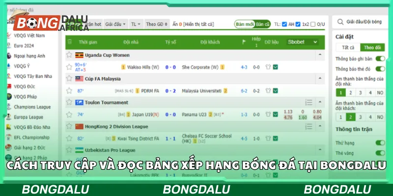 Cách truy cập và đọc bảng xếp hạng bóng đá tại Bongdalu