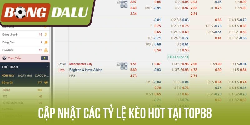 Cập nhật các tỷ lệ kèo hot tại Top88