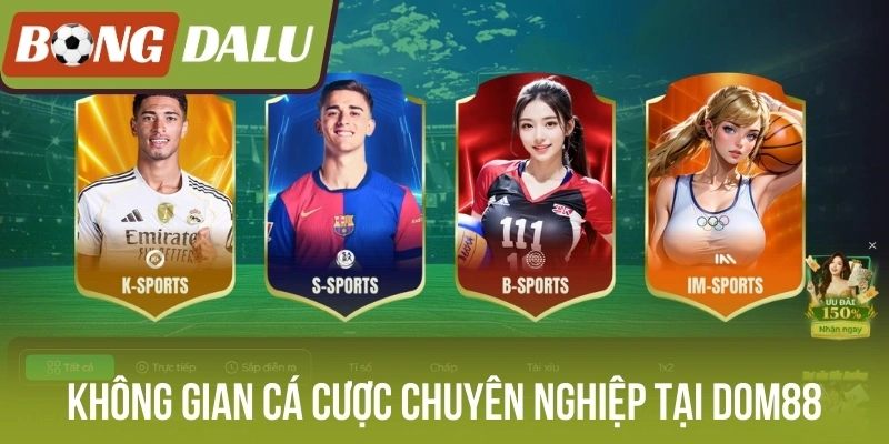 Không gian cá cược chuyên nghiệp tại Dom88