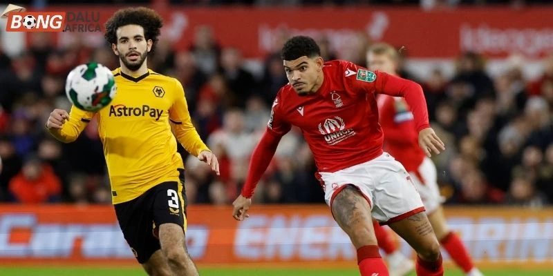 Cập nhật nhanh phong độ Nottingham Forest vs Wolves