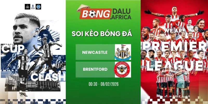 Kèo Nhà Cái Newcastle Vs Brentford Hôm Nay Ngày 08/02/2026 – Ngoại Hạng Anh