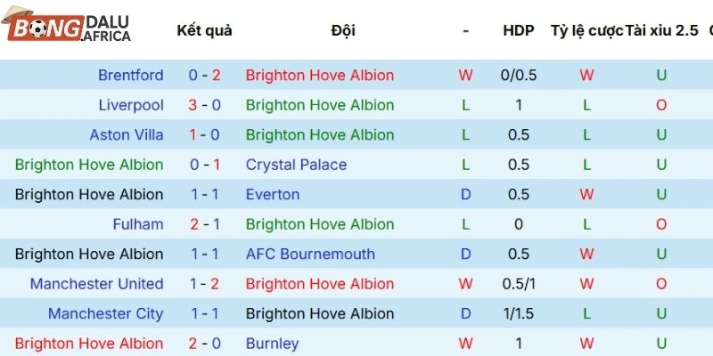 Kết quả thi đấu gần đây của đội chủ sân Brighton