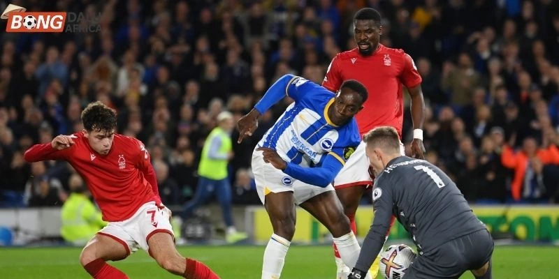 Phong độ của Brighton vs Nottingham Forest trước khi thi đấu