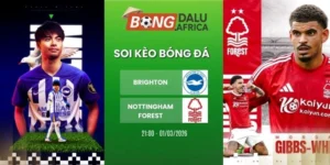 Soi Kèo Bóng Đá Brighton Vs Nottingham Forest – NHA, 01/03/2026