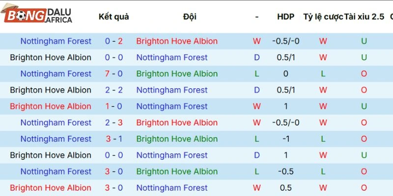 Thành tích đối đầu của Brighton vs Nottingham Forest