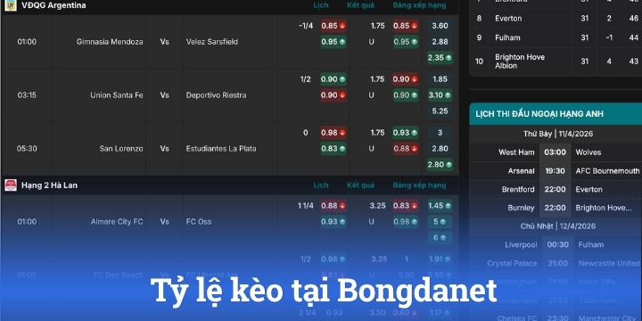 Theo dõi tỷ lệ kèo và nhận định chi tiết trên hệ thống